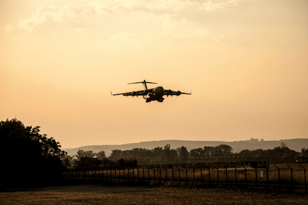 How To Manage Military Aircraft Bird Strike Prevention