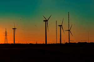 Can UV Light Prevent Bird Deaths At Wind Farms? image