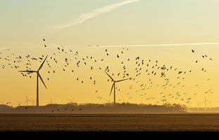 ROBIN Attends Dutch Wind Days