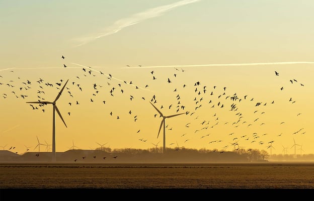 Media Attention for Robin's Wind Farm Radars