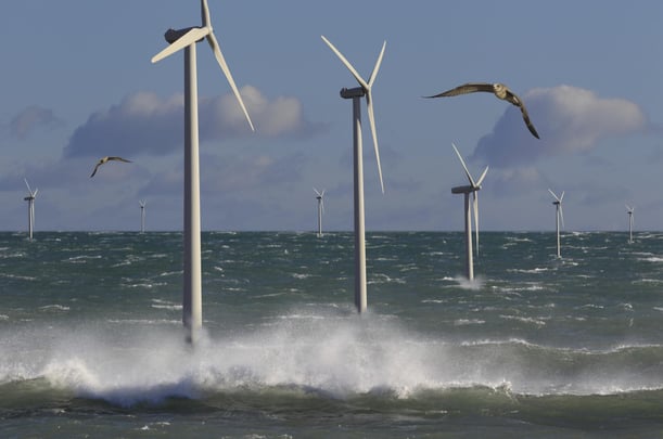 Robin Through to Next Round Offshore Wind Innovation Challenge