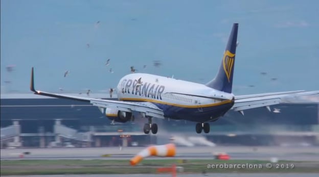 Multiple Birds Strike Ryanair 737 Landing at Barcelona Airport