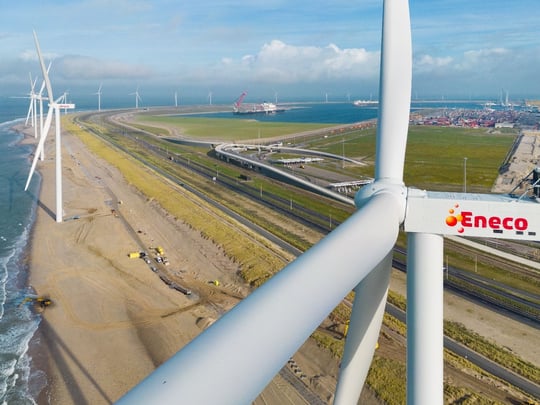 New Wind Farm at Maasvlakte 2 Has Bird Detection Capability